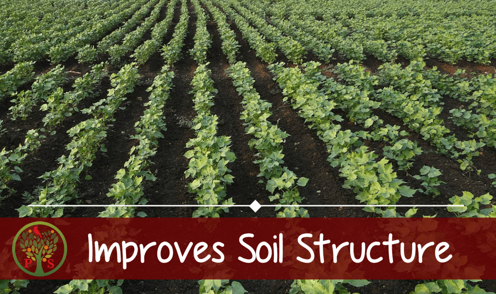 Composting improves soil structure