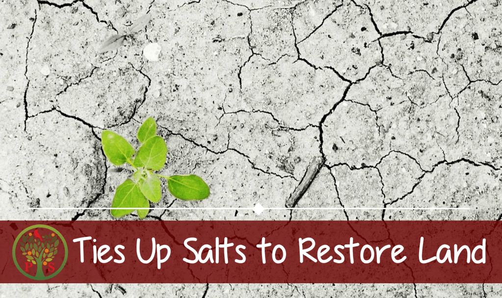 Composting restores agriculture