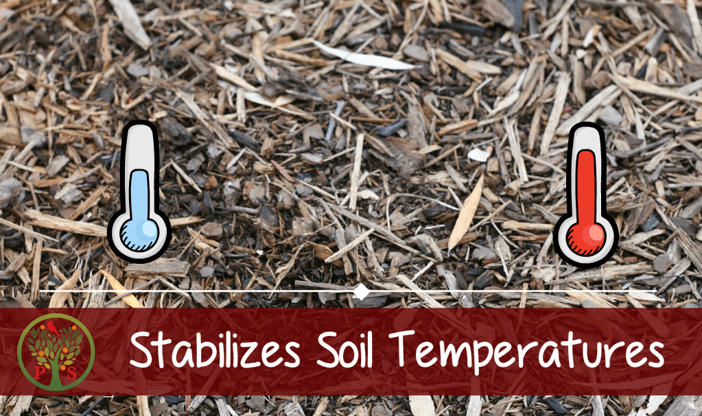 Composting in the garden