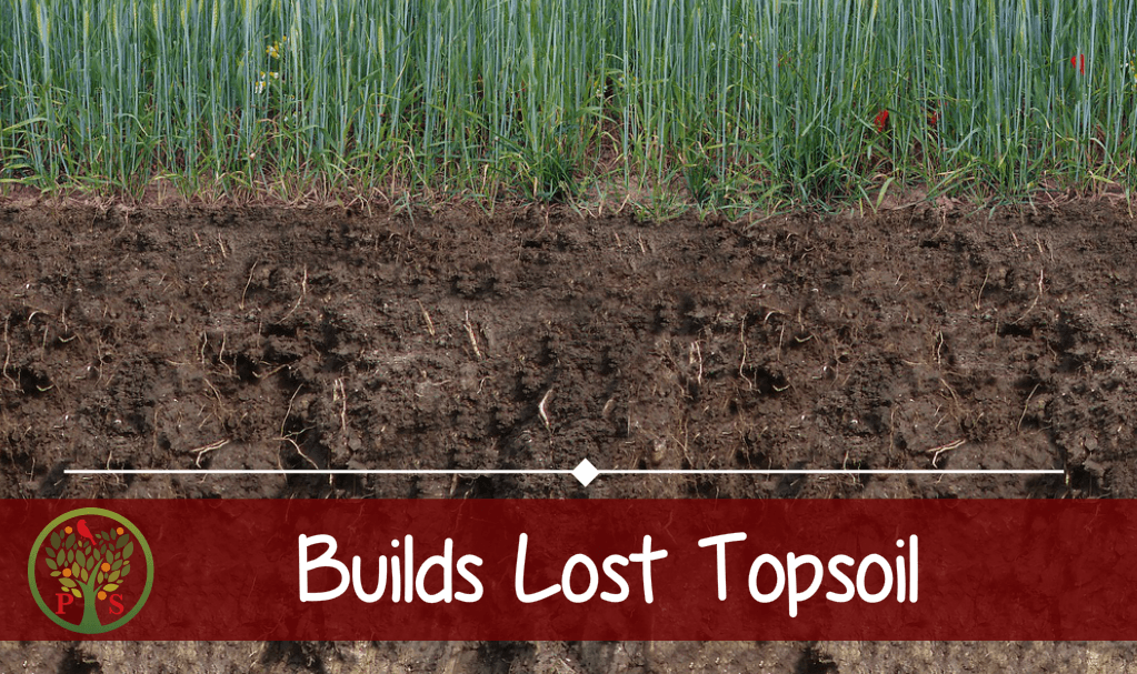 Composting in the garden