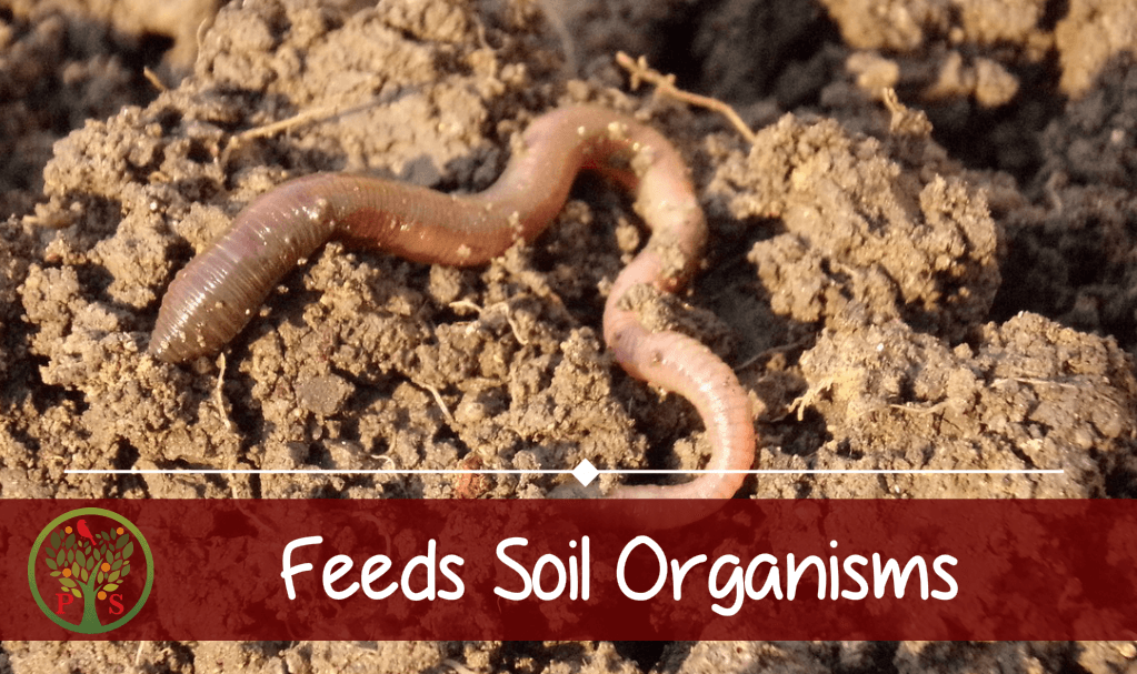 Composting for the garden