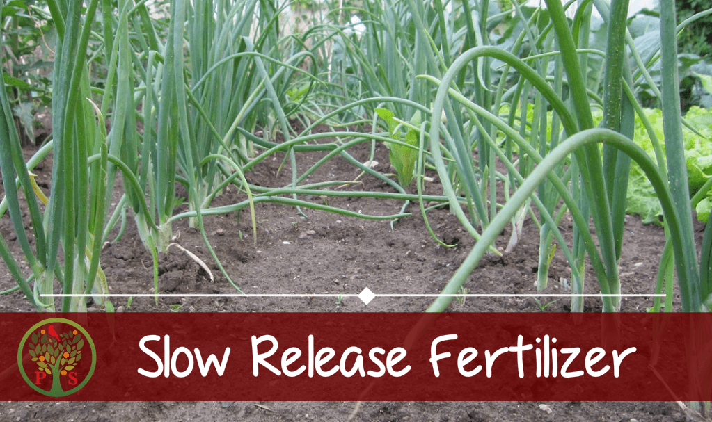 Composting fertilizer