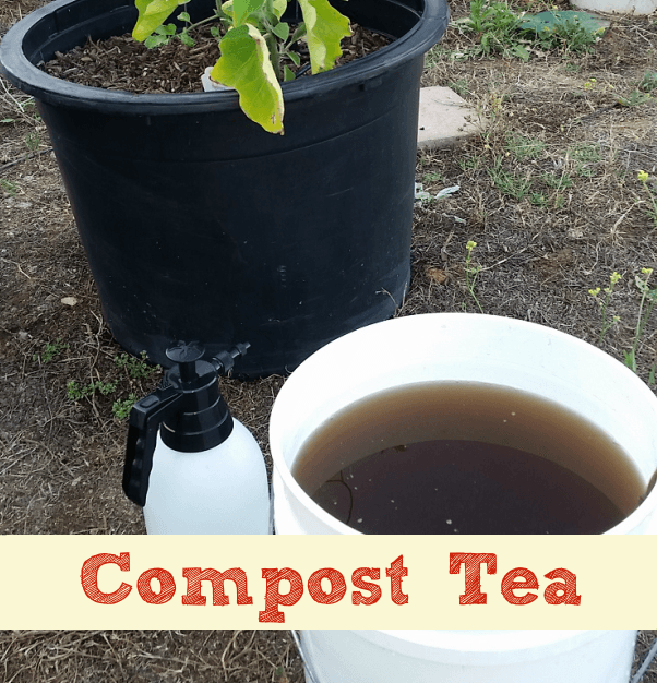 Compost tea brewing