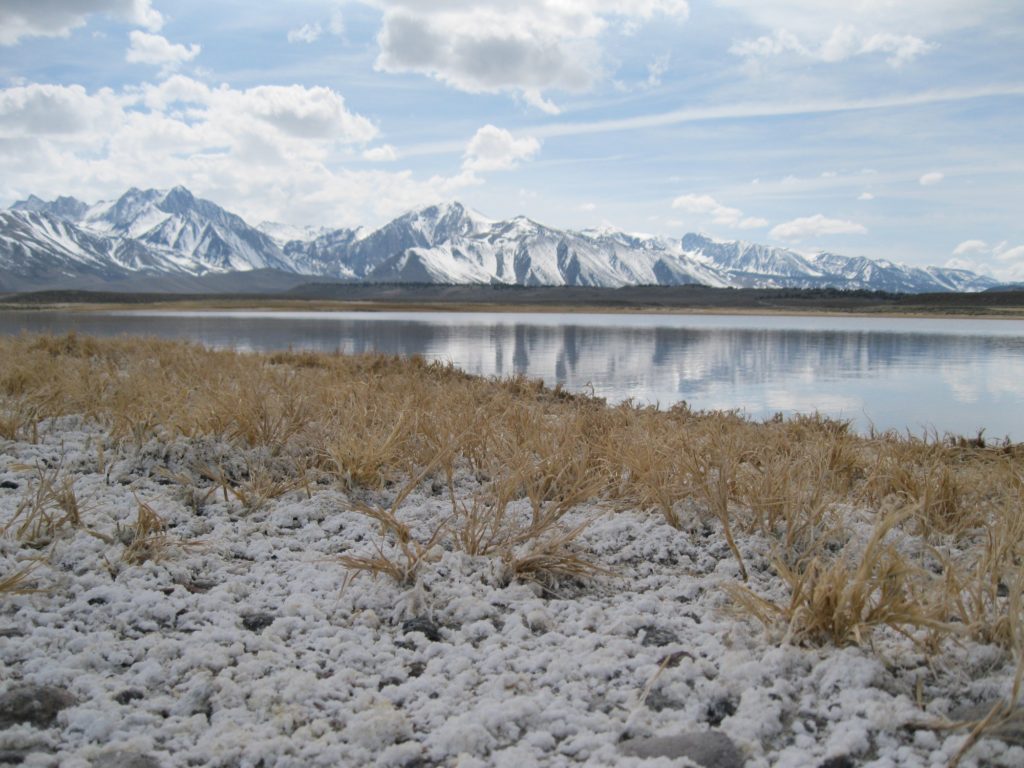 High Salt Soils in California