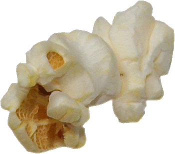 Popcorn Kernel