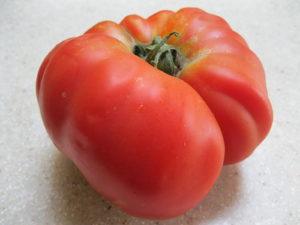 Heirloom tomato - brandywine