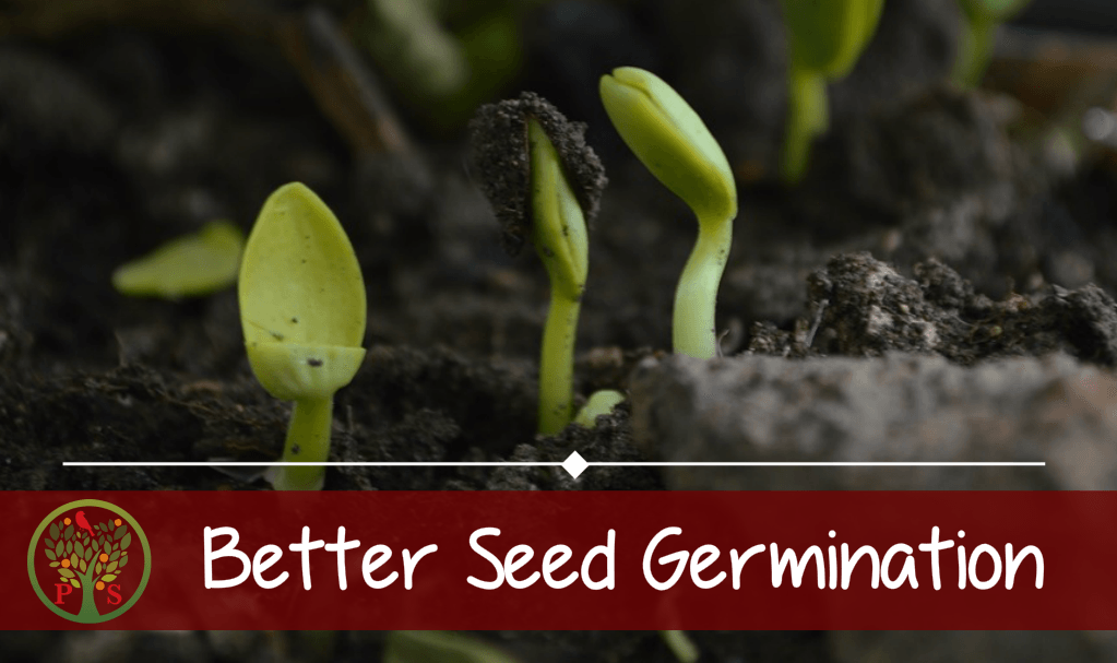 Benefits of Compost That Will Rock Your Garden | Positively Sustainable