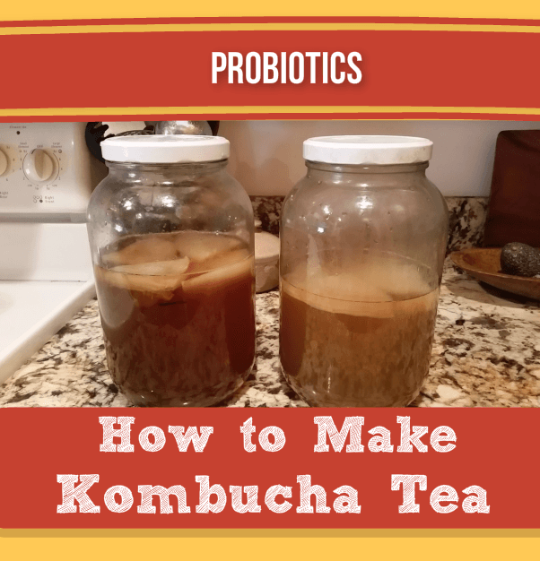 How to Make Kombucha Tea