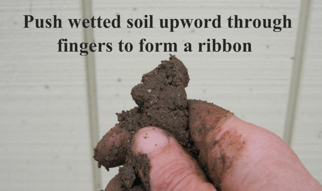 Finger method of determining soil texture