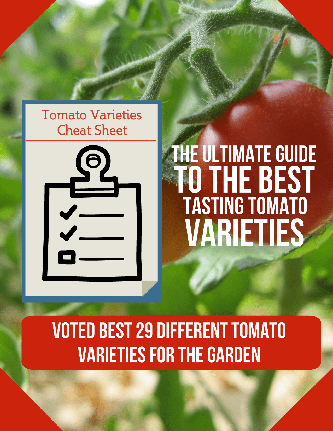 Types of Tomatoes