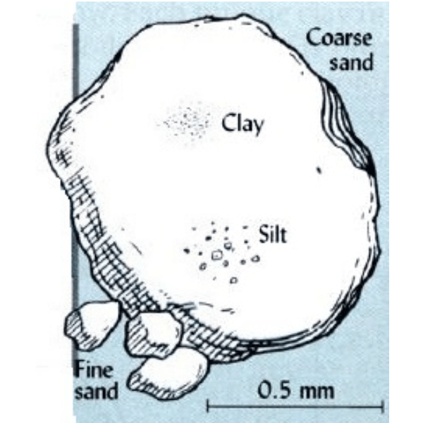 soil particle size