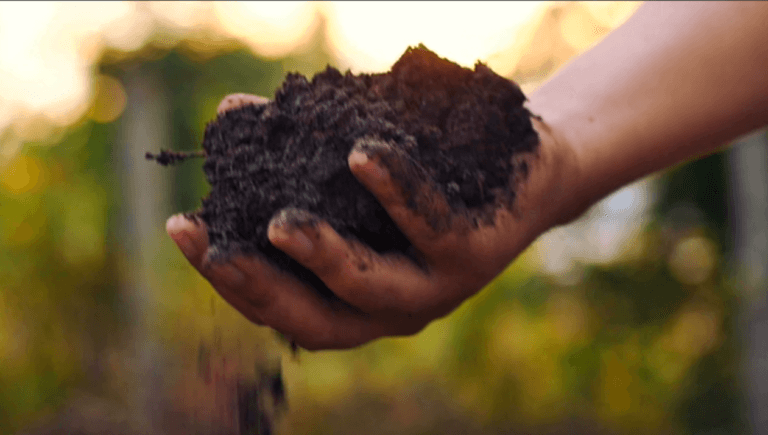 Getting started composting