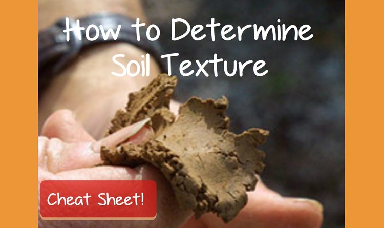 determining soil texture