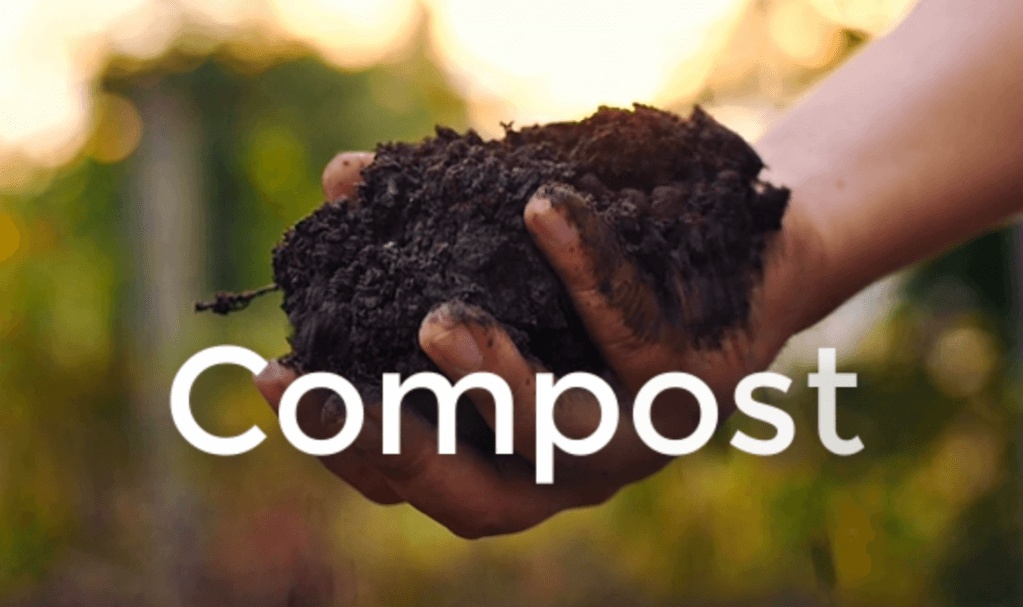 compost - best organic fertilizer