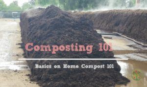 101 on composting