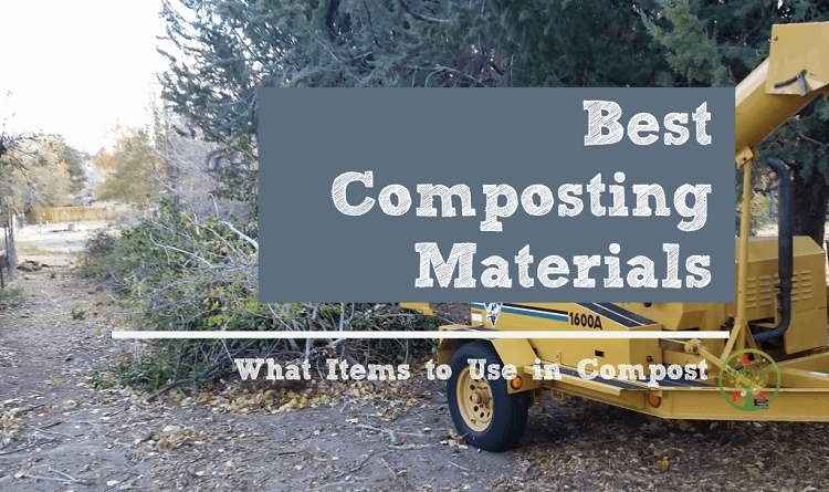 what items can I compost