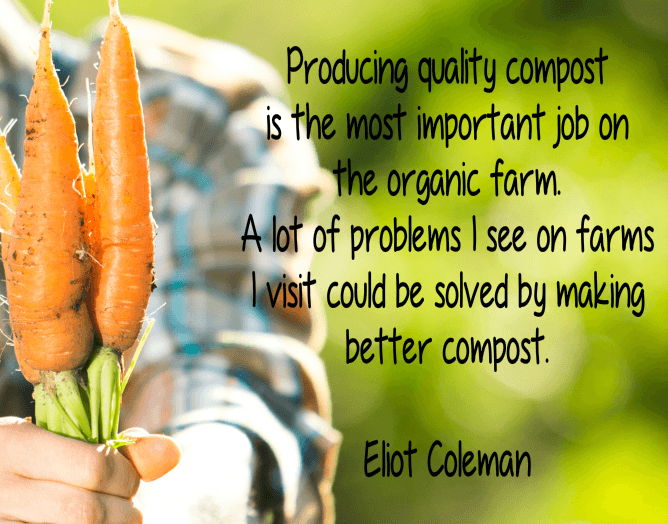 Composting What Your Need to Know about Composting