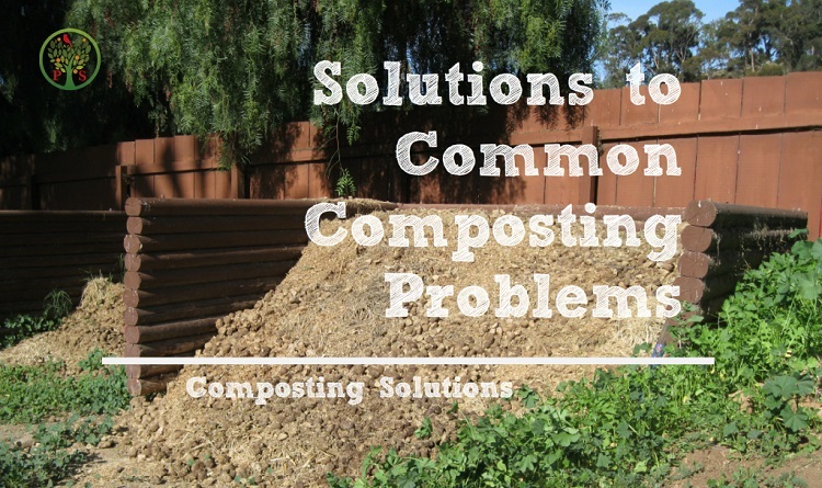 composting problems - solutions