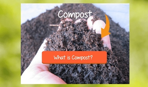 compost defined