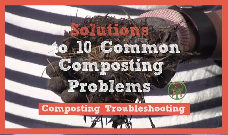 solutions to problems when composting