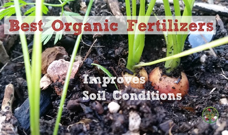 best organic fertilizer