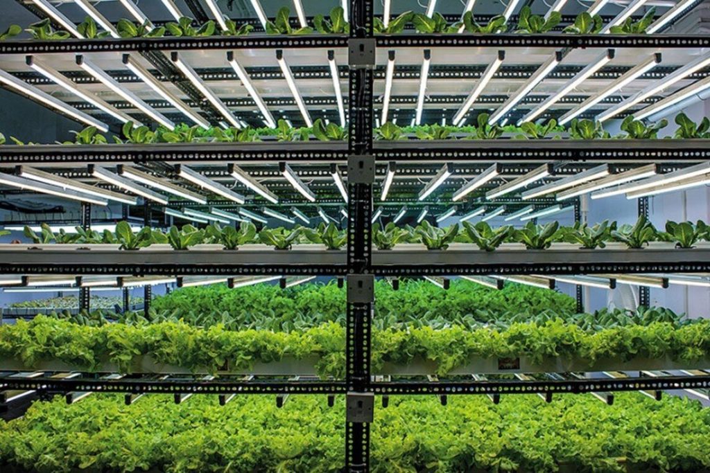 Vertical and Urban Farming Systems