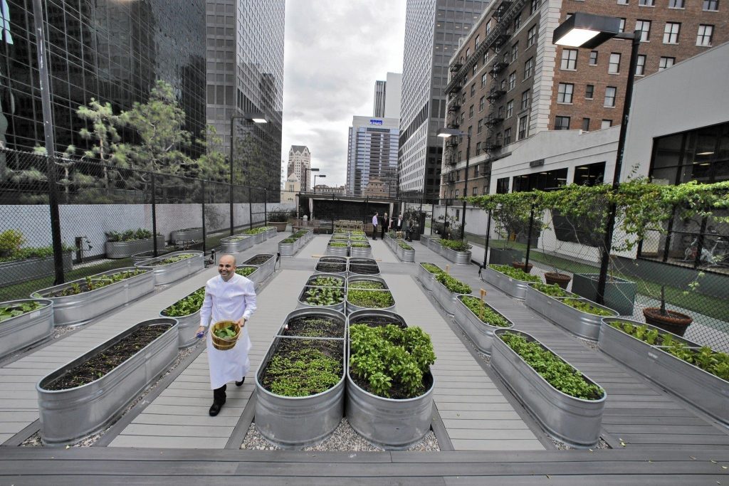 Urban Agriculture Is Transforming Public Health in Cities