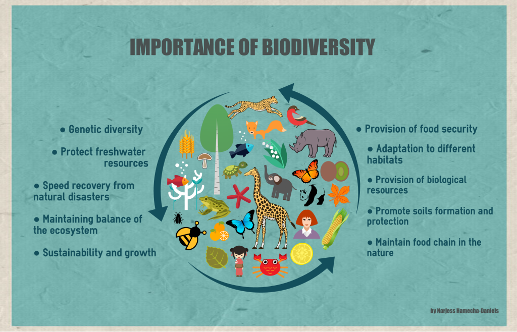 The Importance of Urban Biodiversity