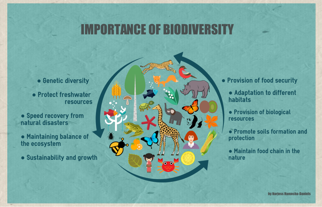 The Importance of Biodiversity in Sustainable Urban Design