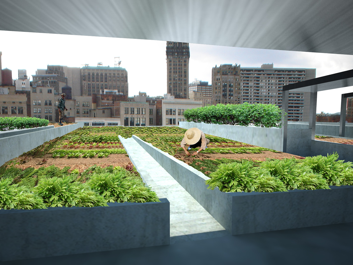 Reaping What We Sow: The Complex Challenges of Implementing Urban ...