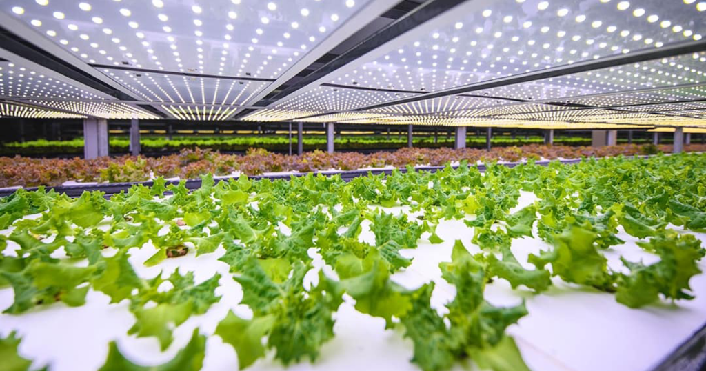 Vertical Farming